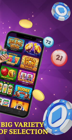 Bingo Games Screenshot 3