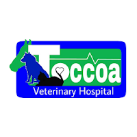 Toccoa Vet