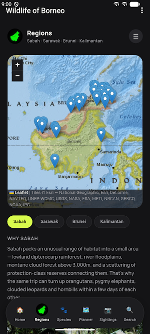 Wildlife of Borneo Screenshot 3