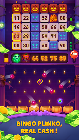 Bingo Plinko : Unlock Jackpot Screenshot 2