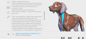 Complete Canine 3D - anatomy Screenshot 0