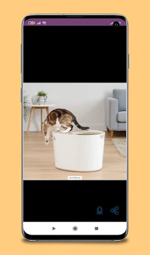 iris entry litter box guide Screenshot 3