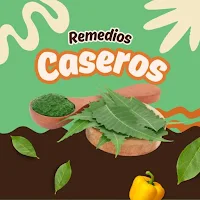 Remedios caseros