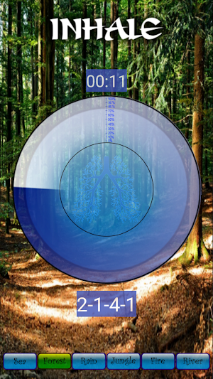 Pranayama Yoga Pro Screenshot 1