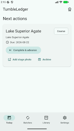 TumbleLedger Screenshot 0