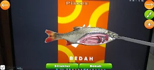 Vertebpedia Screenshot 2