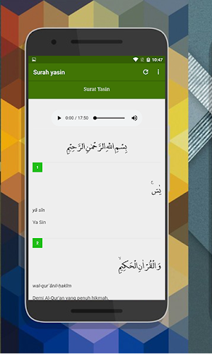 Surah Yasin Screenshot 0