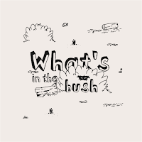 What's in the bush