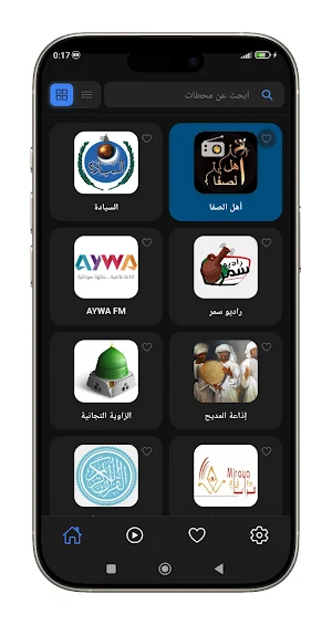 Radio Sudan Pro Screenshot 0