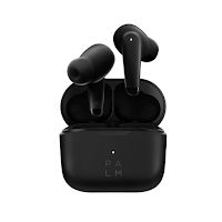 Palm Buds Pro guide