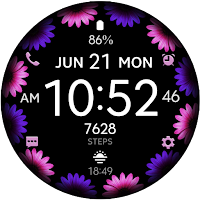 Daisy Bloom 3