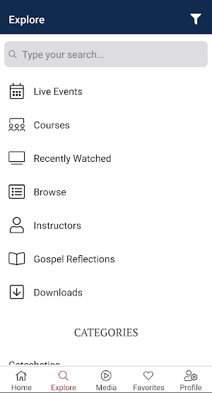 Institute of Catholic Culture Screenshot 0