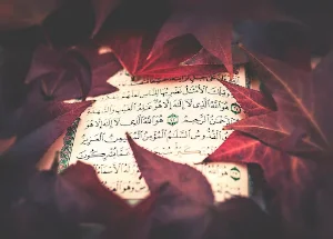 القرأن الكريم مشاري العفاسي Screenshot 2