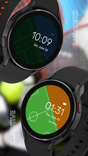 EXD173: Sports Arena Watch Screenshot 0