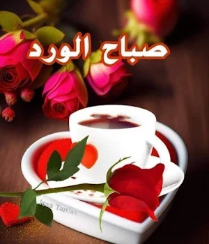 Gif صباح الخير و مساء الخير Screenshot 3