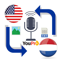 English to Dutch Translation