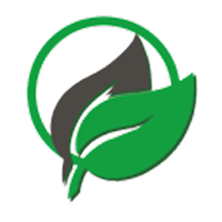 Grün Grüner Grünthal