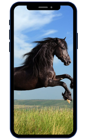 Horse Wallpapers Screenshot 1