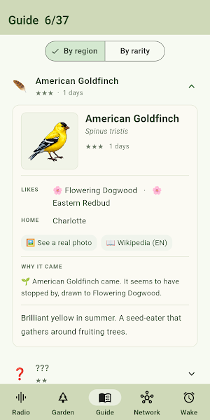 TorisCollection Screenshot 1
