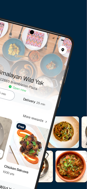 Himalayan Wild Yak Screenshot 1