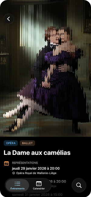 Liège Culture Screenshot 3