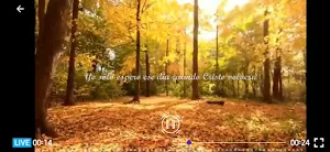 Radioshalom Tx Screenshot 3