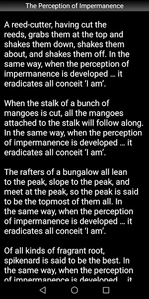 The Perception of Impermanence Screenshot 2