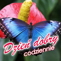Good Morning Everyday Greetings in Polish