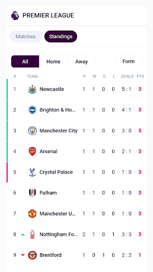 EPL Livescore Matches Screenshot 0