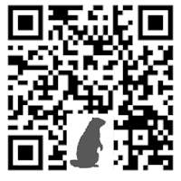QR Scanner