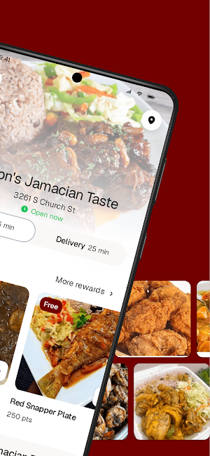 Dixon’s Jamaican Taste Screenshot 1
