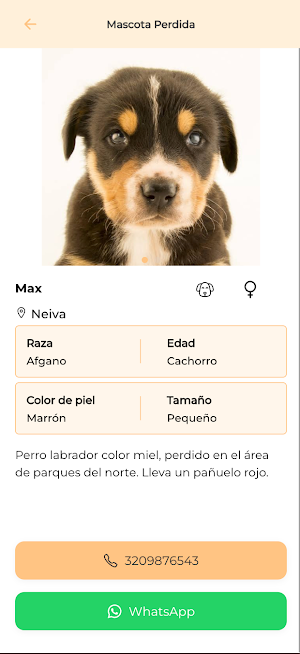 DOGGY MATE Screenshot 3