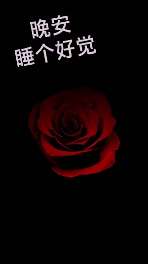 晚安 GIF 2023 Screenshot 1