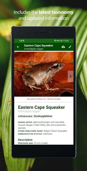 Frogs of Southern Africa LITE Screenshot 1