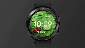 Ladybugs - Watch Face Screenshot 2