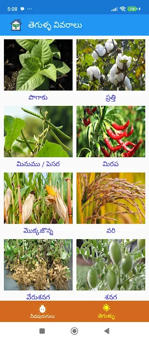 CropSuraksha Screenshot 2