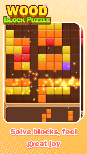 Wood Block Puzzle: Wonders Screenshot 2