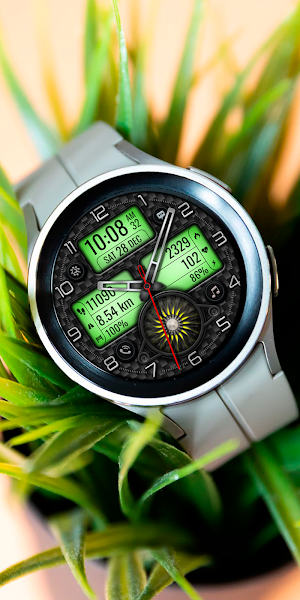 Hybrid CHANIMO WS93 Watch face Screenshot 3