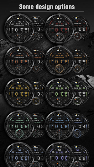 WFP 348 Flip Black Edition Screenshot 1