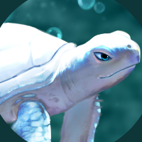 What the Shell