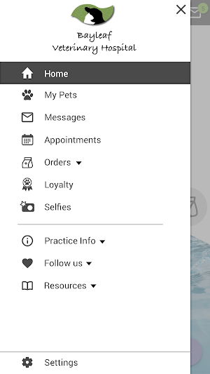 Bayleaf Vet Screenshot 2