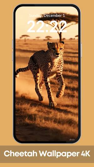 Cheetah Wallpaper 4K Screenshot 0