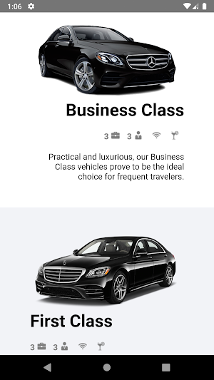 Brussels Limousine Services Screenshot 2