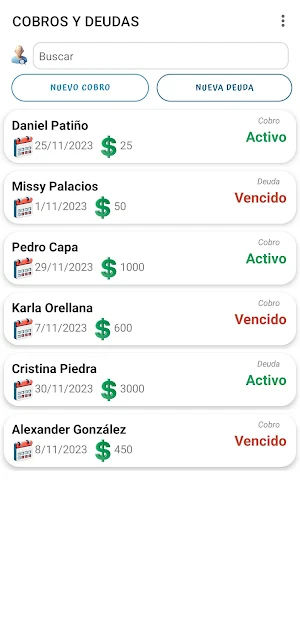 Collections and Debts Screenshot 2