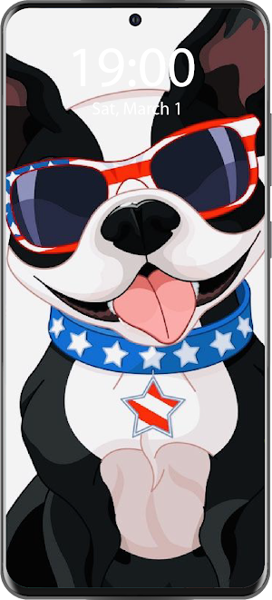 Boston Terrier Live Wallpaper Screenshot 1