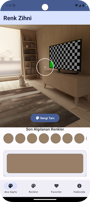 Renk Zihni Screenshot 0