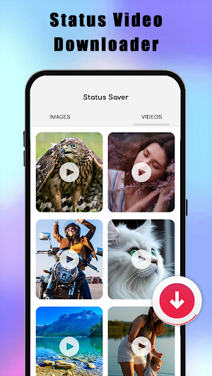 All Video Downloader App Screenshot 3