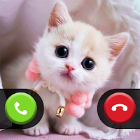 Cat Prank Call - Video & Chat