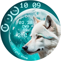 Wolf
