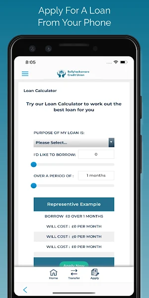 Ballyhackamore Credit Union Screenshot 2